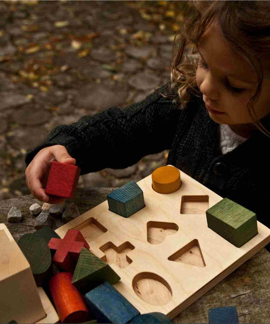 Wooden Shape Sorting Blocks - Colors
